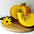 Тыква крупноплодная Улыбка Тыква крупноплодная Улыбка
